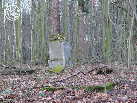 Zdjęcie P1040569.JPG