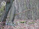 Zdjęcie P1040571.JPG