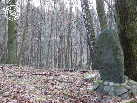 Zdjęcie P1040576.JPG