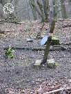 Zdjęcie P1040584.JPG