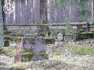 Zdjęcie P1040778.JPG